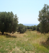 For sale:  land - Kassandra (4120-757) | Dom2000.com