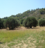 For sale:  land - Kassandra (4120-757) | Dom2000.com #24557268