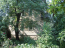 For sale:  home - Snizhkiv village (9911-757) | Dom2000.com #69518291