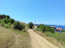 For sale:  land - Athos (5064-761) | Dom2000.com #32586504