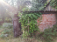 For sale:  home - Valki city (regional center) (9935-763) | Dom2000.com #69733637