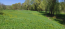 For sale:  land - Дружная улица str., д. Churikasy (10635-764) | Dom2000.com #77820411