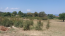 For sale:  land - Athos (7277-764) | Dom2000.com #48531354