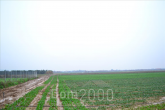 Продам земельну ділянку - Thessaloniki (4114-766) | Dom2000.com