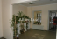 Lease 2-room apartment - Дмитриевская, 13а, Shevchenkivskiy (9184-769) | Dom2000.com #62730897