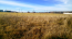 For sale:  land - ст. Shubino (9935-771) | Dom2000.com #69733713