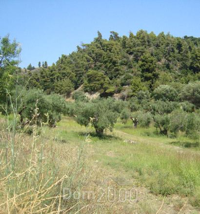 For sale:  land - Kassandra (4120-774) | Dom2000.com