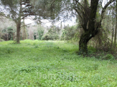 For sale:  land - Kerkyra (Corfu island) (4118-775) | Dom2000.com