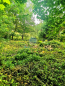 For sale:  land - д. Bobrovo (10476-777) | Dom2000.com #75695150
