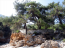 For sale:  home - Thasos (4117-777) | Dom2000.com #24526445