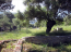 For sale:  home - Thasos (4117-777) | Dom2000.com #24526449