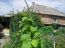 For sale:  home - Горовая улица, 59г str., Slov'yansk city (9656-778) | Dom2000.com #66999472
