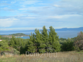 For sale:  land - Kassandra (4113-779) | Dom2000.com