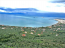 For sale:  land - Pelloponese (4115-779) | Dom2000.com #24504717