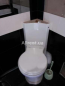 Lease 2-room apartment - Богатырская, 2, Obolonskiy (9185-780) | Dom2000.com #62743566