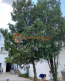 For sale:  home - улица Александровская, Herson city (9938-780) | Dom2000.com #69770799