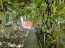 For sale:  home - улица 2-я Западная, Herson city (10116-783) | Dom2000.com #71645510