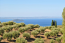 For sale:  home - Sithonia (4109-783) | Dom2000.com #42487871