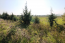 For sale:  land - Chalkidiki (4109-785) | Dom2000.com #24440795