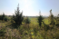 For sale:  land - Chalkidiki (4109-785) | Dom2000.com #24440796