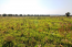 For sale:  land - Chalkidiki (4109-785) | Dom2000.com #24440798