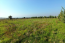 For sale:  land - Chalkidiki (4109-785) | Dom2000.com #24440799