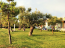 For sale:  shop - Thasos (7127-787) | Dom2000.com #47466387