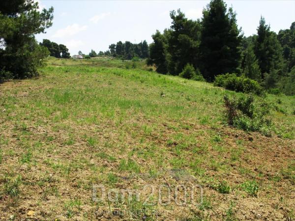 For sale:  land - Kassandra (4116-790) | Dom2000.com