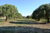 For sale:  land - Kassandra (4111-791) | Dom2000.com