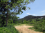 For sale:  land - Thasos (4117-791) | Dom2000.com #24526648