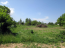For sale:  land - Thasos (4117-792) | Dom2000.com #24526653