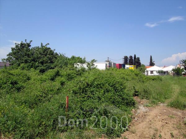 For sale:  land - Thasos (4117-794) | Dom2000.com