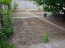 Продам дом - улица Бурзи, г. Херсон (9853-796) | Dom2000.com #68908050