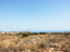 For sale:  land - Iraklion (crete) (4116-797) | Dom2000.com #24515969