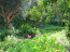 For sale:  home - Kerkyra (Corfu island) (4118-797) | Dom2000.com #24537148