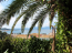 For sale:  home - Kerkyra (Corfu island) (4118-797) | Dom2000.com #24537150