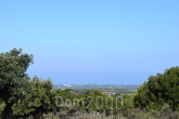 For sale:  land - Iraklion (crete) (6319-797) | Dom2000.com