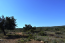 For sale:  land - Iraklion (crete) (6319-797) | Dom2000.com #41775119