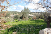 For sale:  land - Iraklion (crete) (4113-798) | Dom2000.com