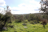 For sale:  land - Iraklion (crete) (4113-799) | Dom2000.com