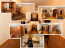 Lease 3-room apartment - Василия Порика, 15 str., Podilskiy (9185-799) | Dom2000.com #62743786