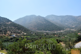 For sale:  land - Iraklion (crete) (7678-800) | Dom2000.com