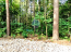 For sale:  land - х. Spasskie Vyselki (10543-805) | Dom2000.com #76446517