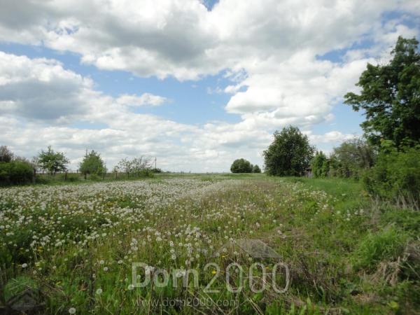 For sale:  home - Центральная улица str., д. Molgachkino (10635-805) | Dom2000.com
