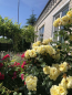 For sale:  home - Dnipropetrovska oblast (9805-815) | Dom2000.com #68396115