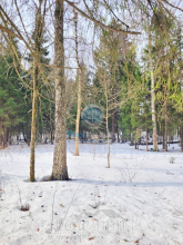 For sale:  land - д. Tureyka (10624-819) | Dom2000.com