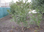 For sale:  home - Горловская улица, 82д str., Slov'yansk city (9656-819) | Dom2000.com #67000068