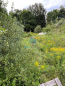 For sale:  land - Russia (10603-820) | Dom2000.com #77088986