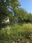 For sale:  land - Russia (10603-820) | Dom2000.com #77088987