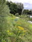For sale:  land - Russia (10603-820) | Dom2000.com #77088988